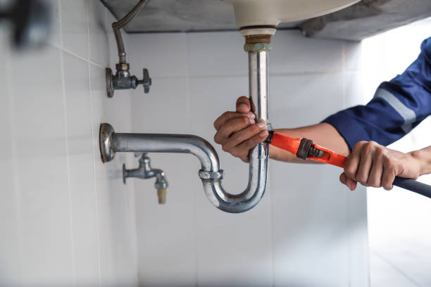 Best Local Plumber Services  in Hansen, ID