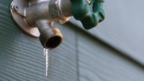 Best Commercial Plumbing Services  in Hansen, ID